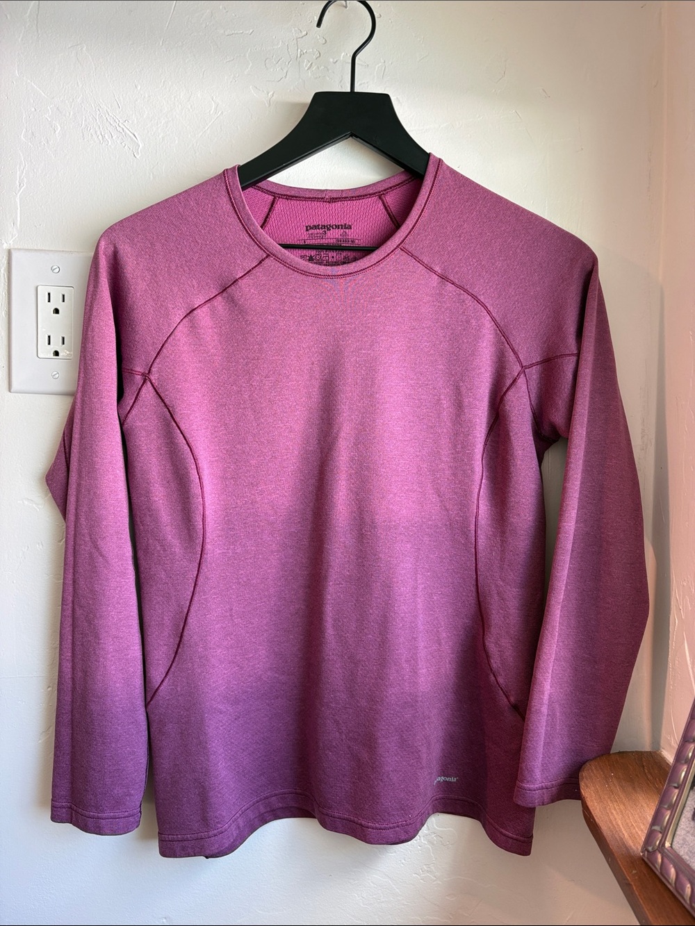 Patagonia Long-Sleeve Crewneck in Plum